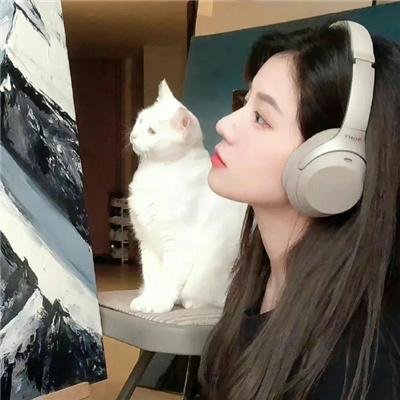 七个问候