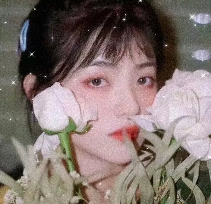 重生丫头狠狠爱